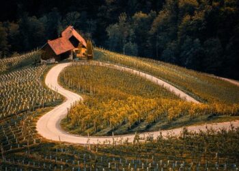 Slovenia World Cup Alpine Skiing – Roanoke Times