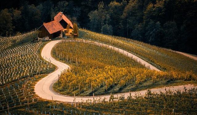 Slovenia World Cup Alpine Skiing – Roanoke Times