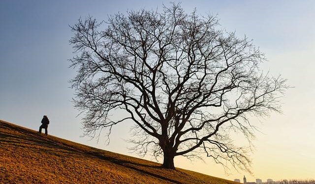 Ekholm omission from Olympic roster ‘tough’ decision for Sweden, coach says – NHL.com