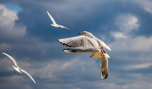 Bulgaria Pays First Pensions in Euros as Queues Form and Police Security Is Stepped Up – Novinite.com