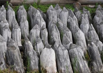 Poland and France push ahead with defense pact after Paris talks [VIDEO] – TVP World