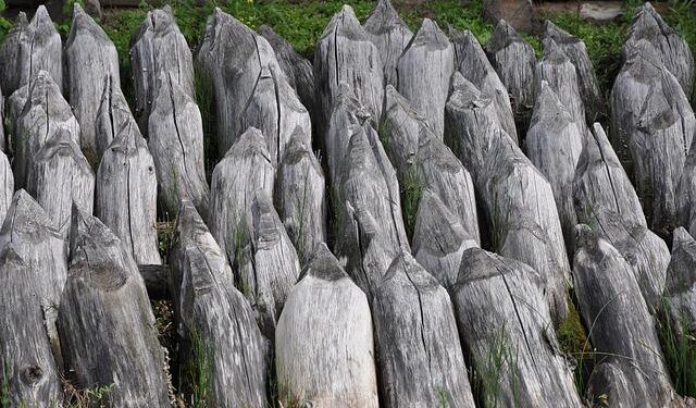 Poland and France push ahead with defense pact after Paris talks [VIDEO] – TVP World