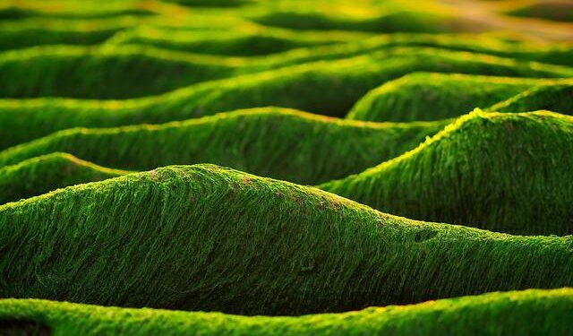 Taiwan-UK 2025: A year of significant engagement – Taiwan Insight