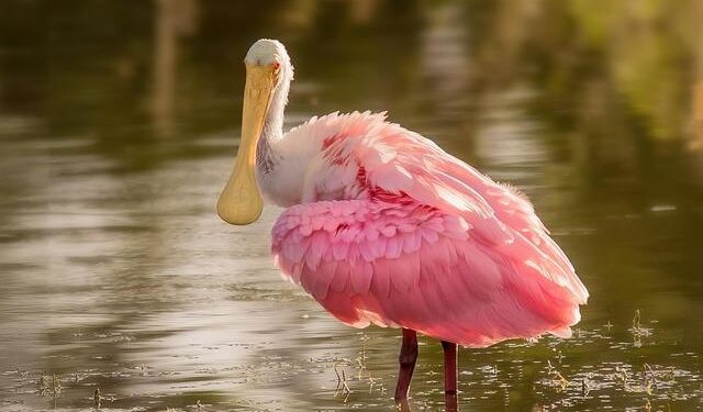 Bill No. 8634 passed: key changes to Luxembourg’s pension regime – A&O Shearman