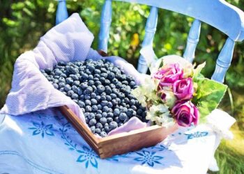 Valencia Basket-AS Monaco | Round 21 Highlights | 2025-26 EuroLeague – Euroleague Basketball