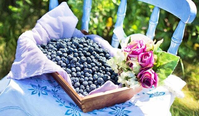 Valencia Basket-AS Monaco | Round 21 Highlights | 2025-26 EuroLeague – Euroleague Basketball