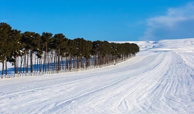 Azerbaijan reaffirms support for Somalia’s sovereignty at OIC emergency meeting [PHOTOS] – AzerNews