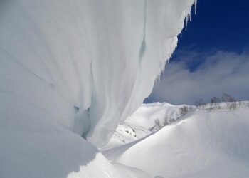 Meteorologists warn in Latvia: drifting snow, poor visibility and slippery roads – Baltic News Network