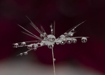 UK Growth Companies Insiders Are Backing – Yahoo Finance