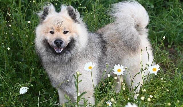 German wholesalers warn fiscal stimulus cannot replace structural reforms – MSN