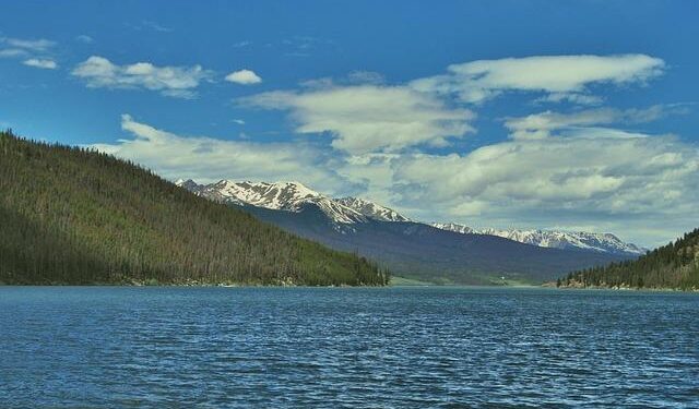 Dillon Danis and ‘John Pork’ Zaynukov offered ‘neutral zone’ grappling match in Armenia – MMA Mania