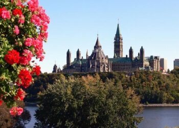 Finland’s withdrawal from Ottawa Convention to take effect – Valtioneuvosto