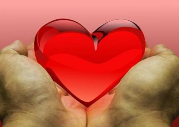 Gibraltar achieves historic milestone with first organ donation – Sur in English