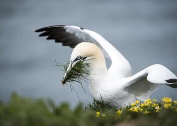 On the Latvian Coast, a Sea-Inspired Twist on the Gable Home – Dwell