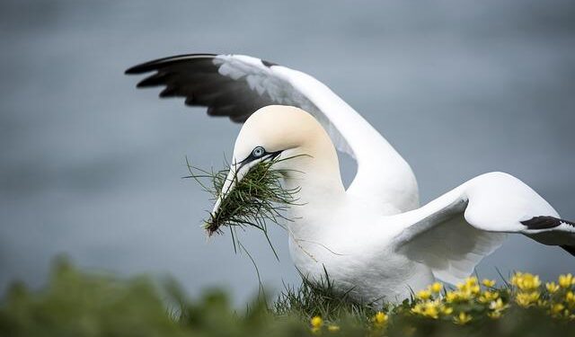On the Latvian Coast, a Sea-Inspired Twist on the Gable Home – Dwell