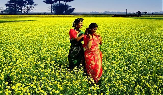 Bangladesh, Netherlands agree PPP cooperation – Partnerships Bulletin