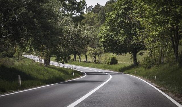 Romania’s Mercosur Submission: Obedience Over Democracy – The European Conservative