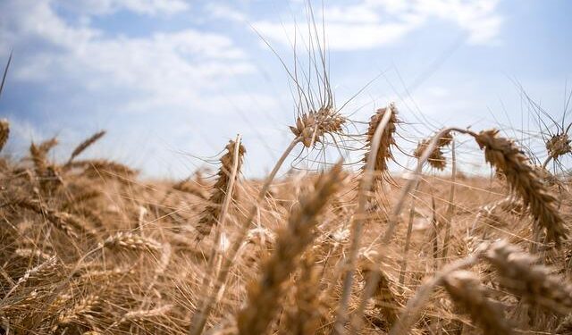 Ukraine’s Battlefield Defense Is Forcing Russia To Adapt Its Tactics – Forbes