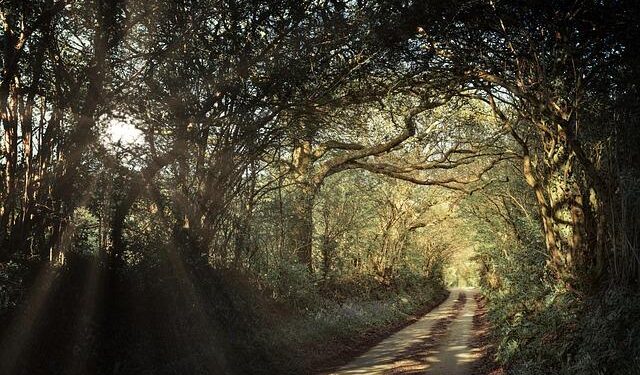 The Fall of the United Kingdom – Aish.com