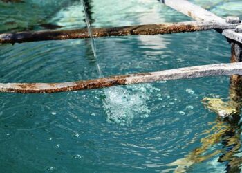 Austria Welcomes Staycity Aparthotel’s Second Property in Vienna’s 4th District Offering Three Hundred Self-Catering Apartments for Business and Leisure Travelers with Modern Amenities and a New Location – Travel And Tour World