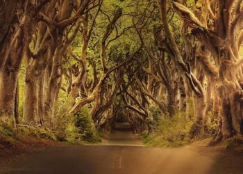 ‘Ireland is a great place to be a writer and to grow up. I’ve also had bad experiences’ – The Irish Times