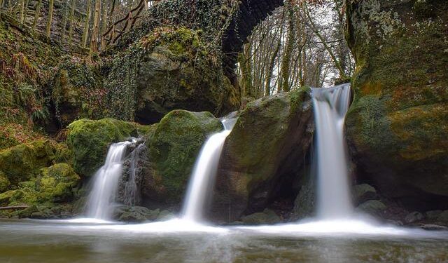 Luxembourg’s revised carried interest tax regime expected to boost alternative investment industry – International Tax Review