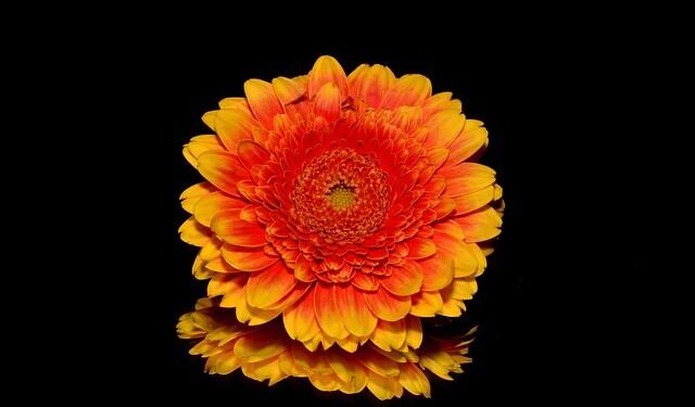 Russian Gerbera Drone Found on Moldovan Lake Shore, Triggering Security Alert – UNITED24 Media