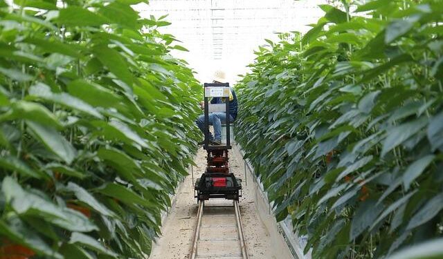 Updated Agenda of the conference – Smart Growth, Green Future: Accelerating Investment in Montenegro – EEAS