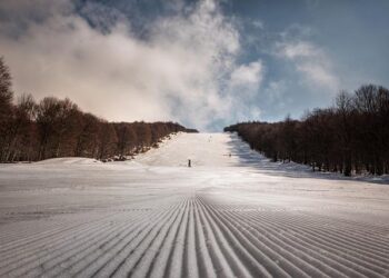 Eight skiers killed in avalanches in Austria – CNN