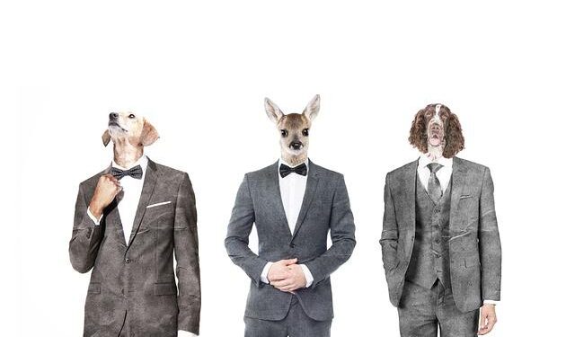 Sweden’s MANIMAL Share Official “Forged In Metal” Live Video – BraveWords