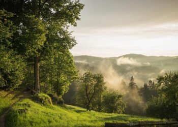 Partnership in challenging times: Austria renews steadfast commitment to UNDP – UNDP