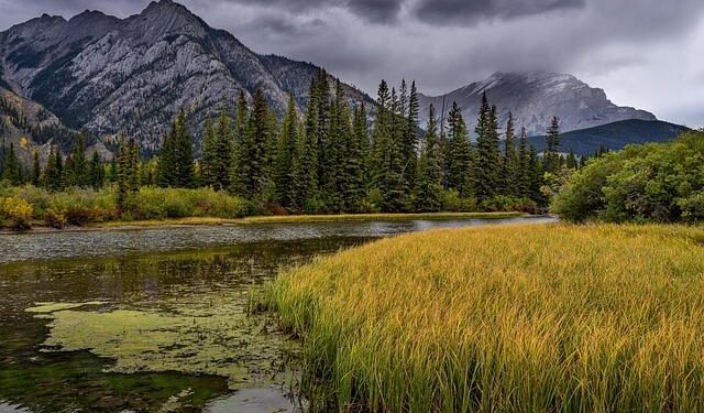 CanMNT 🇨🇦 to play Iceland, Tunisia in March friendlies in Toronto? | OneSoccer Direct – OneSoccer