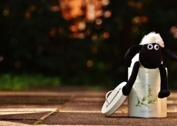 Unsdg | Secretary-General appoints Vladanka Andreeva of North Macedonia as the United Nations Resident Coordinator in Cambodia – UN Sustainable Development Group