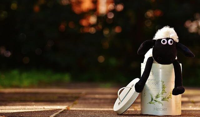 Unsdg | Secretary-General appoints Vladanka Andreeva of North Macedonia as the United Nations Resident Coordinator in Cambodia – UN Sustainable Development Group