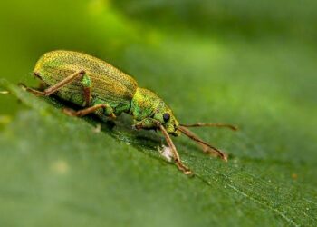 Estonia sees record low fire and drowning deaths in 2025 – ERR