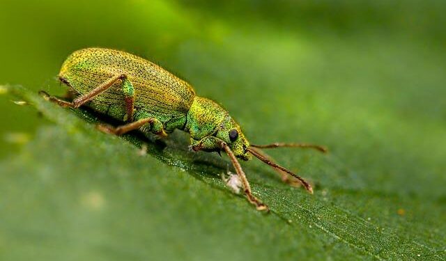 Estonia sees record low fire and drowning deaths in 2025 – ERR