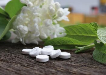 OPINION: Alternative für Amerika, MAGAs German cousins – sundial.csun.edu