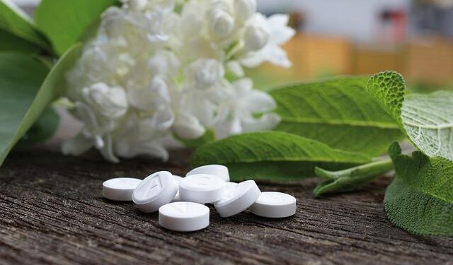 OPINION: Alternative für Amerika, MAGAs German cousins – sundial.csun.edu