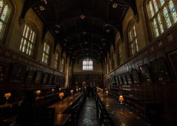 Harry Tector hits impressive 96 as Ireland cruise to second T20 victory over Italy – The Irish Independent