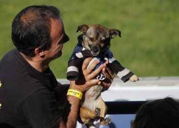 SDF supporters disrupt daily life, stage violent protests across Germany, France and Belgium – Türkiye Today