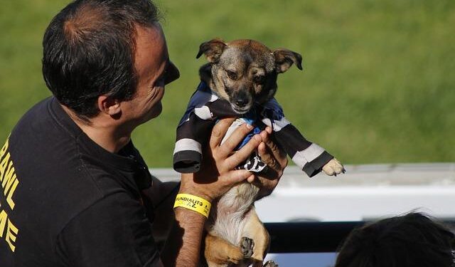 SDF supporters disrupt daily life, stage violent protests across Germany, France and Belgium – Türkiye Today