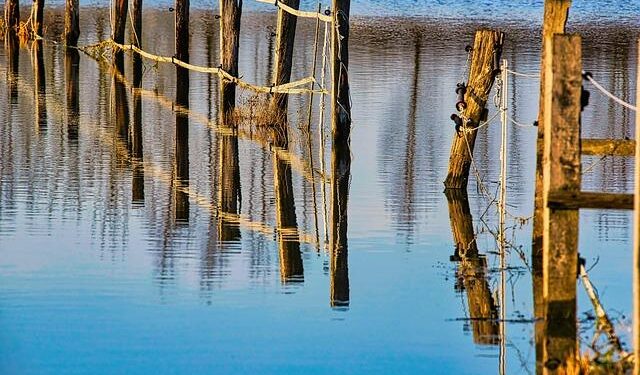 Weather tracker: Kosovo floods trap people in homes and cut water supplies – The Guardian