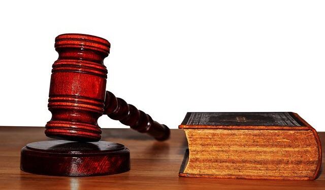 Judges and Lawyers from across North Macedonia strengthen capacities on freedom of expression and SLAPPs – Council of Europe