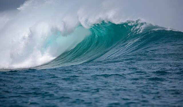 Indians don’t need Schengen visa to travel to this European country – gulfnews.com