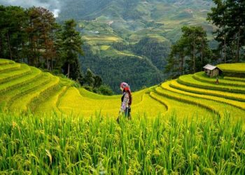 UN Women Azerbaijan Country Fact Sheet – EU NEIGHBOURS east