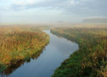 Bruins’ Hampus Lindholm Added to Sweden Olympic Roster – Boston Hockey Now