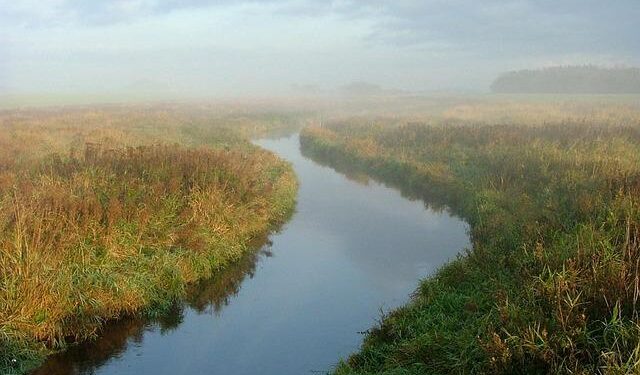 Bruins’ Hampus Lindholm Added to Sweden Olympic Roster – Boston Hockey Now