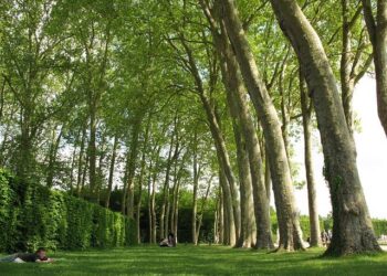 What a Versailles! France renounces marital duty in marriage — AFP – EADaily