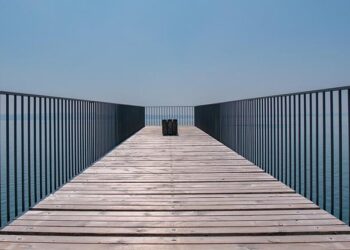 U of L basketball staff, players from Türkiye adjust to life in the U.S. – louisvillecardinal.com