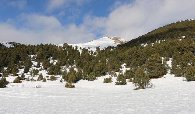 Andorra will approve abortion despite the fact that its head of state is a Catholic bishop – ZENIT – English